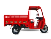 SFM EXPRESS MAX ELEKTRİKLİ 3 TEKER KABİNLİ TRICYCLE MOPED-2025 Model - 1