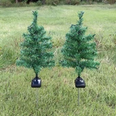 Solar Dekoratif Çam Ağacı thumbnail 2