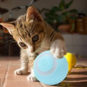 İnteraktif Kedi Köpek Şarjlı Oyun Topu - 2