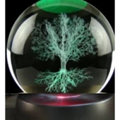 Ağaç Plastik Altlıklı Cam Küre - 1