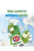 Porçöz PORÇÖZ MUTFAK ÇAMAŞIR SUYU KATKILI & BAHAR ÇİÇEKLERİ 750 ML thumbnail 6