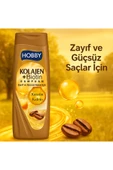 Hobby HOOBY ZAYIF VE GÜÇSÜZ İÇİN ŞAMPUAN KOLAJEN&KERATİN&KAFEİN 480 ML (6 ADET) thumbnail 1