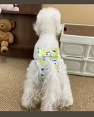 Yeniden Kullanılabilir Ayarlanabilir Köpek Bezi Pantolonu – Limon Yaprağı Desenli, Nefes Alabilen & Konforlu - 1