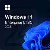 Microsoft Windows 11 Enterprise LTSC 2024 - 1