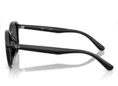 Ray-Ban RAYBAN RB 4459D 901/87 54 Unisex Güneş Gözlüğü - 2