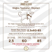 Doggie Comfort Ronin Köpek Bel Tasması 3cm-75 x 85 cm 3X-Large Mavi thumbnail 2