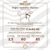 Doggie Comfort Ronin Köpek Bel Tasması 3cm-75 x 85 cm 3X-Large Turuncu thumbnail 2