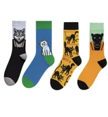 4’lü hayvan figürlü çorap seti kurt kedi panter desenli renkli çoraplar thumbnail 1