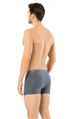 Erdem Füme Pamuk Elastan 2 li Klasik Boxer 1445 - 2