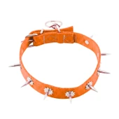 Dokuma Çivili Köpek Boyun Tasması - 4*70 cm - Turuncu - 2