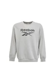 Reebok New Id Reg Crew 0 Yaka Erkek Sweat - Gri - 2