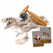 Clementoni Bilim ve Oyun: Dünya’daki Yaşamın Tarihi 64839 thumbnail 2