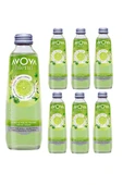 Avoya 6'lı Blend Misket Limonu Maden Suyu 250 Ml - 1