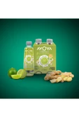 Avoya 6'lı Blend Misket Limonu Maden Suyu 250 Ml - 2