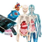 Bilim ve Oyun Süper Anatomi thumbnail 3