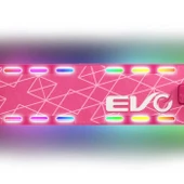 Evo 2 Tekerlekli Flash Işıklı Pembe Scooter - 5