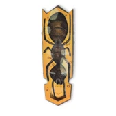 HexBots Nano Newton thumbnail 3