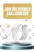 IOS Tüm Serilerle Uyumlu 30W Hızlı Şarj Aleti 11 12 13 14/Pro Max Mini Plus thumbnail 1