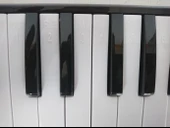 CREMONIA CR32BL-12 MELODİKA 32 TUŞLU MAVİ RENK 12 Lİ PAKET EVA ÇANTA - 2