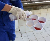 Mastitis Test Diski Beyaz Ekonomik - 2