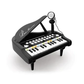 BAO-1505A Mikrofonlu Mini Piano 24 Tuş MP3 Çalar thumbnail 5