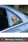 Özel Tasarım Araç Dış Modifiye Eğlenceli Yaratıcı Şık 3D Evcil Hayvan Kedi Köpek Sticker 10 X 10 Cm - 2