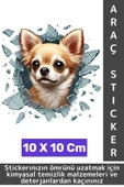 Özel Tasarım Araç Dış Modifiye Eğlenceli Yaratıcı Şık 3D Evcil Hayvan Kedi Köpek Sticker 10 X 10 Cm - 1
