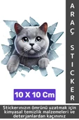 Özel Tasarım Araç Dış Modifiye Eğlenceli Yaratıcı Şık 3D Evcil Hayvan Kedi Köpek Sticker 10 X 10 Cm thumbnail 1