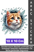 Özel Tasarım Araç Dış Modifiye Eğlenceli Yaratıcı Şık 3D Evcil Hayvan Kedi Köpek Sticker 10 X 10 Cm - 1