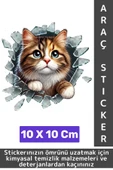 Özel Tasarım Araç Dış Modifiye Eğlenceli Yaratıcı Şık 3D Evcil Hayvan Kedi Köpek Sticker 10 X 10 Cm - 1