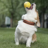 M-Pets Bloom Ball Oyun Topu Parçalanmaz Sarı Gri - 3