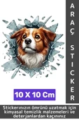 Özel Tasarım Araç Dış Modifiye Eğlenceli Yaratıcı Şık 3D Evcil Hayvan Kedi Köpek Sticker 10 X 10 Cm - 1