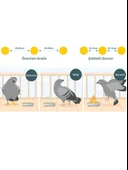 Doğal Kuş  Kovucu Jel tablet1 Adet thumbnail 2