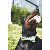 M-Pets Bloom Ball Oyun Topu Parçalanmaz - 5