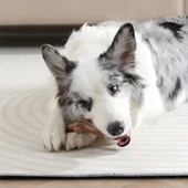 M-Pets Chewood Large Branch Köpek Oyuncağı - 5