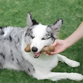 M-Pets Chewood Large Bone Köpek Oyuncağı - 6