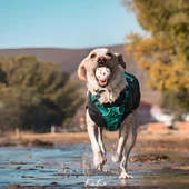 M-Pets Bloom Ball Oyun Topu Parçalanmaz - 7