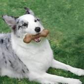 M-Pets Chewood Large Bone Köpek Oyuncağı - 7