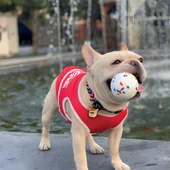 M-Pets Bloom Ball Oyun Topu Parçalanmaz - 6