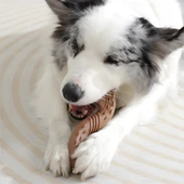 M-Pets Chewood Small Twist Köpek Oyuncağı thumbnail 5