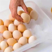 BUFFER® 30lu Yumurta Saklama Kabı - 4