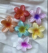 Lotus Mandal Toka - 2