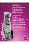 Whiskas Ton Balıklı Kedi Yaş Mama 10 Adet (1x85GR) - 2