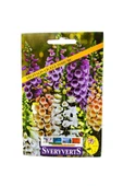 Vipfoni Digitalis Çiçeği Tohum - 1