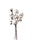 YENİ HEDİYELİK DÜNYAM Doğal Pamuk Çiçeği 10 Adet Tekli Dal Kuru Çiçek 30 Cm Yapay Çiçek thumbnail 2
