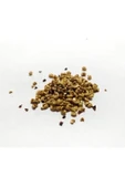 Vipfoni Yaban Mersini Tohumu Blueberry Tohumu - 2