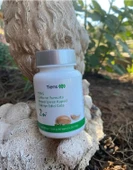 Çinko Ve Yumurta Beyazı Içeren Kapsül Takviye Edici Gıda - 2