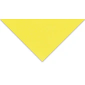 Supertrend Tiziano Çok Amaçlı Fon Kartonu 160 gr. 50x65 cm 5'li Paket LİMON - LIMONE - 1