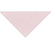 Supertrend Tiziano Çok Amaçlı Fon Kartonu 160 gr. 50x65 cm 5'li Paket GÜL - ROSA - 1