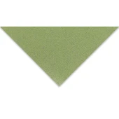 Supertrend Tiziano Çok Amaçlı Fon Kartonu 160 gr. 50x65 cm 5'li Paket YOSUN - MUSCHIO - 1